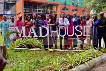 Mad House