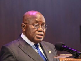 President Nana Addo Dankwa Akufo Addo Ghanaian Standard