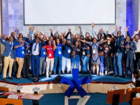 Seedstars Africa Summit 2018 5 (1)