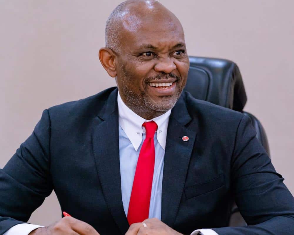 Tony Elumelu Tef