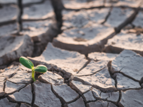 Future+drought+fund