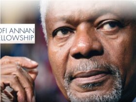 Kofi Annan Fellowship 2020