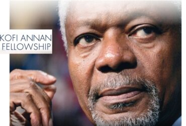 Kofi Annan Fellowship 2020