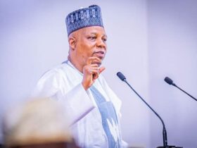 Vp President Kashim Shettima