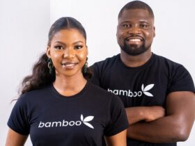 Bamboo Nigerianstartups Ycombinator Founders 800x533