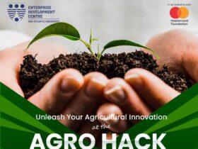 Agrohack Challenge 2024