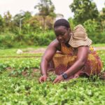 Woman Farming