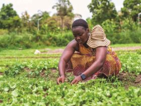 Woman Farming