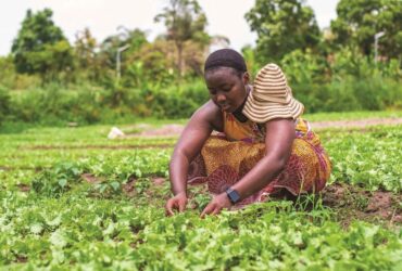 Woman Farming