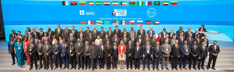 Opec Seminar Group Photo