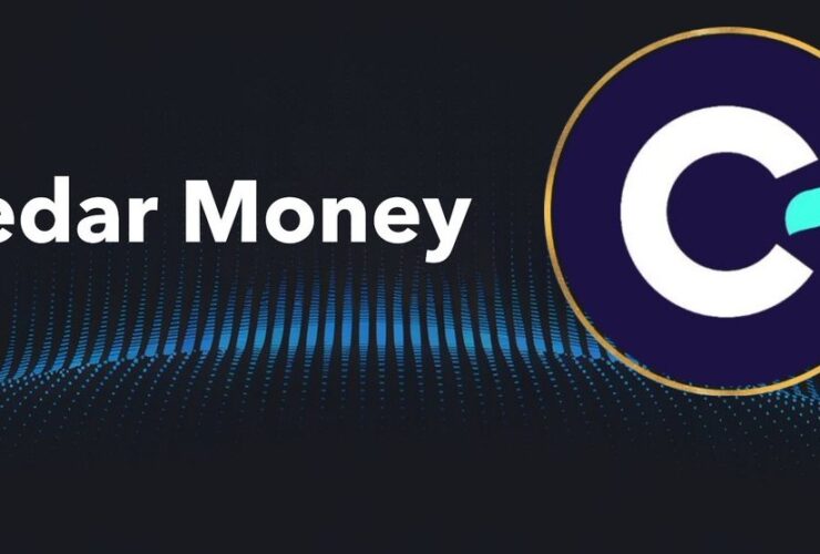 Cedar Money Raises $9.9M to Revolutionize Cross-Border Payments with Stablecoins