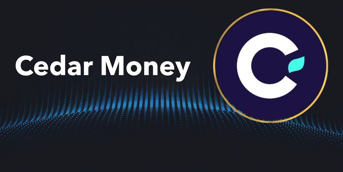 Cedar Money Raises $9.9M to Revolutionize Cross-Border Payments with Stablecoins