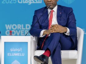 Why is the Perception of Risk in Africa so Skwed? - Tony Elumelu.