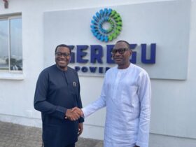 Geregu Power Soars: N137 Billion Revenue, 71% Profit Surge, and N21.25 Billion Dividend Bonanza