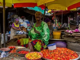 Nigeria’s Inflation Falls to 24.48% After CPI Rebase — Down from 34.8%