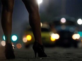 Prostitution in south africa