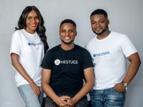 Nestuge Paid ₦500M to Nigerian Creators—All Without a Single Investor